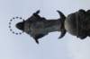 dsc03630_small.jpg