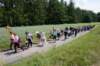 dsc03687_small.jpg