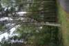 dsc03694_small.jpg