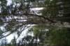 dsc03695_small.jpg