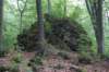 dsc03717_small.jpg