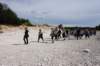 dsc03727_small.jpg