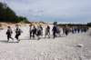 dsc03730_small.jpg