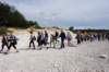 dsc03732_small.jpg