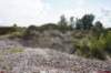 dsc03735_small.jpg