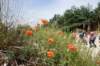 dsc03739_small.jpg