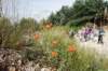 dsc03740_small.jpg