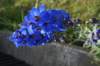 dsc03767_small.jpg