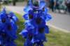 dsc03769_small.jpg