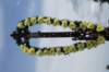 dsc03777_small.jpg