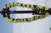 dsc03778_small.jpg