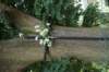 dsc03865_small.jpg