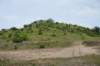 dsc03878_small.jpg