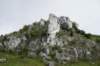 dsc03904_small.jpg
