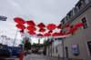 dsc03950_small.jpg