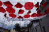 dsc03984_small.jpg