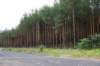 dsc04005_small.jpg