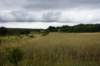 dsc04070_small.jpg