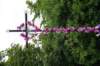 dsc04085_small.jpg