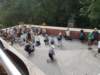 _100800_small.jpg