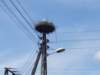 _140207_small.jpg