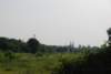 dsc_0005_small.jpg