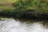 dsc_0011_small.jpg