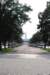 dsc_0029_small.jpg