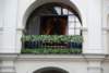 dsc_0089_small.jpg