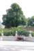 dsc_0113_small.jpg