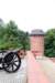 dsc_0156_small.jpg