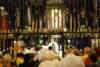 dsc_0244_small.jpg