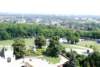 dsc_0288_small.jpg