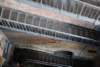 dsc_0289_small.jpg