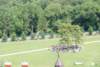 dsc_0317_small.jpg