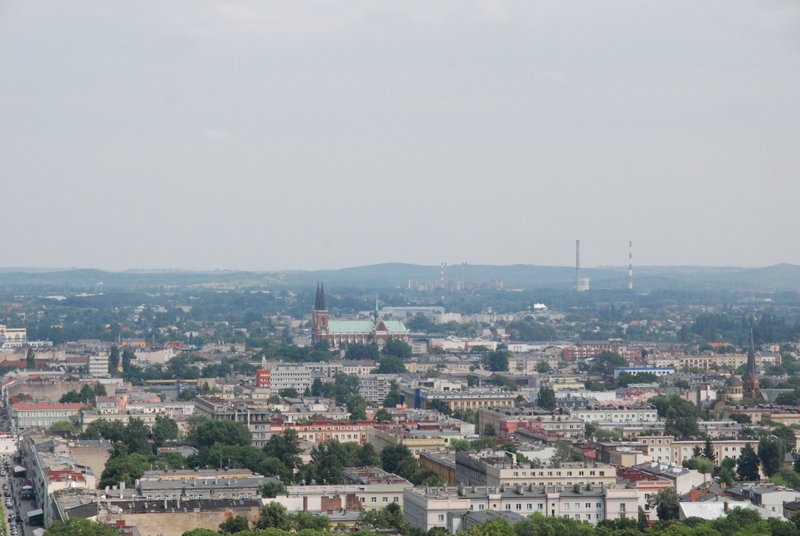 dsc_0337.jpg