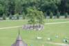 dsc_0339_small.jpg