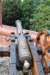 dsc_0358_small.jpg