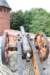 dsc_0359_small.jpg