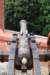 dsc_0378_small.jpg