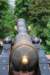 dsc_0384_small.jpg
