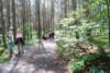 dsc_0006_small.jpg