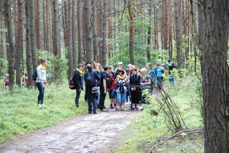 dsc_0018.jpg