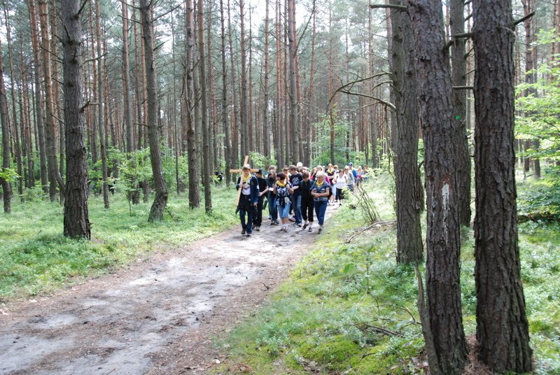 dsc_0023.jpg