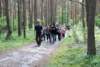 dsc_0051_small.jpg