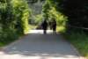 dsc_0091_small.jpg