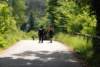 dsc_0092_small.jpg