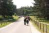 dsc_0107_small.jpg
