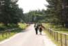dsc_0108_small.jpg