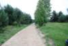 dsc_0193_small.jpg